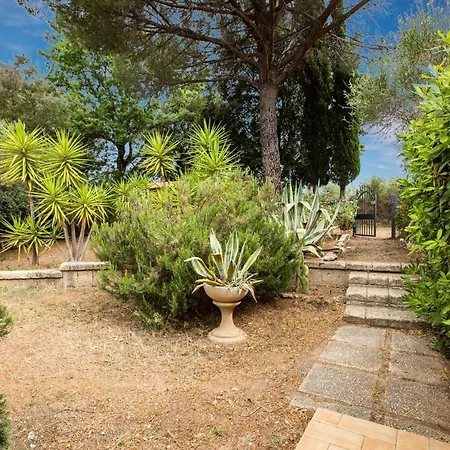 Casa Del Sole Apartment Guardistallo